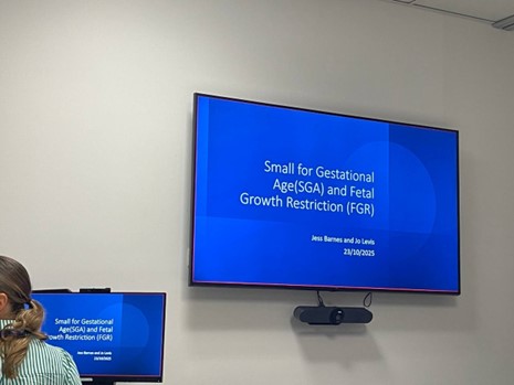 Morning Lecture FGR di WCH